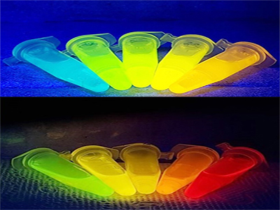 2020 한국과학창의재단 우수과제 선정