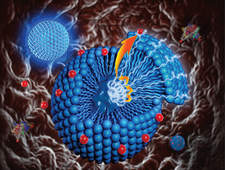 2020 장연진 학생 연구논문 저널표지 선정