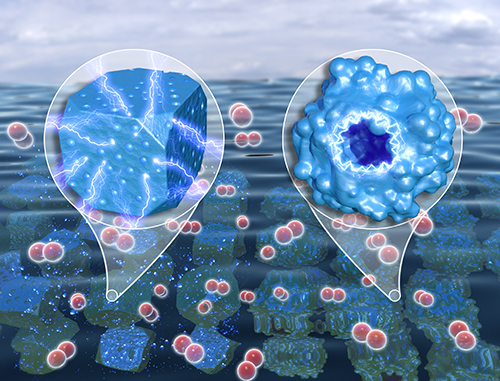 2020 조수진 학생 연구논문 저널표지 선정